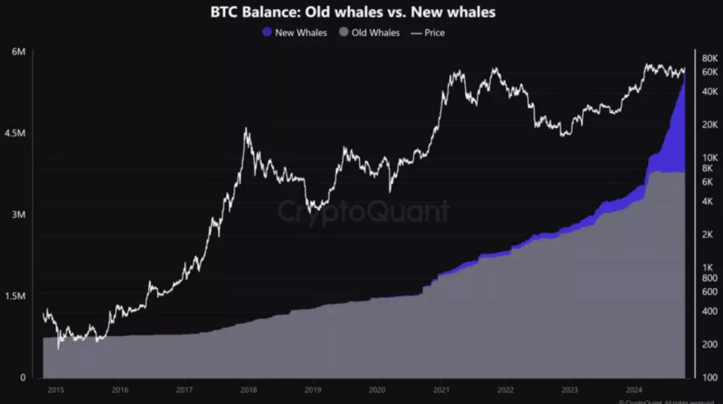 new_and_old_whales