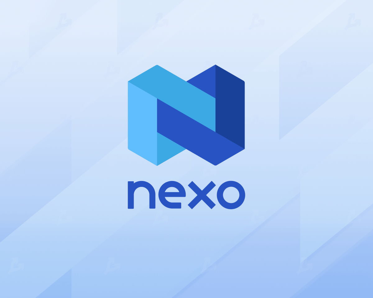 В Nexo обозначили сроки принятия решения о покупке Vauld