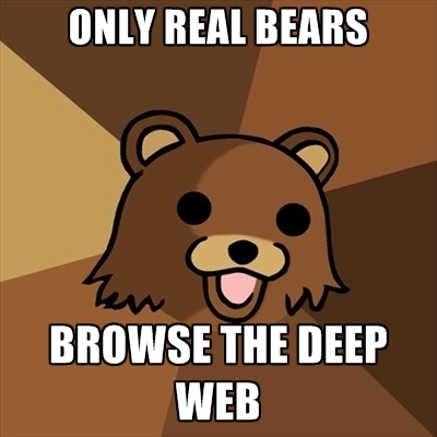 only-real-bears-browse-the-deep-web