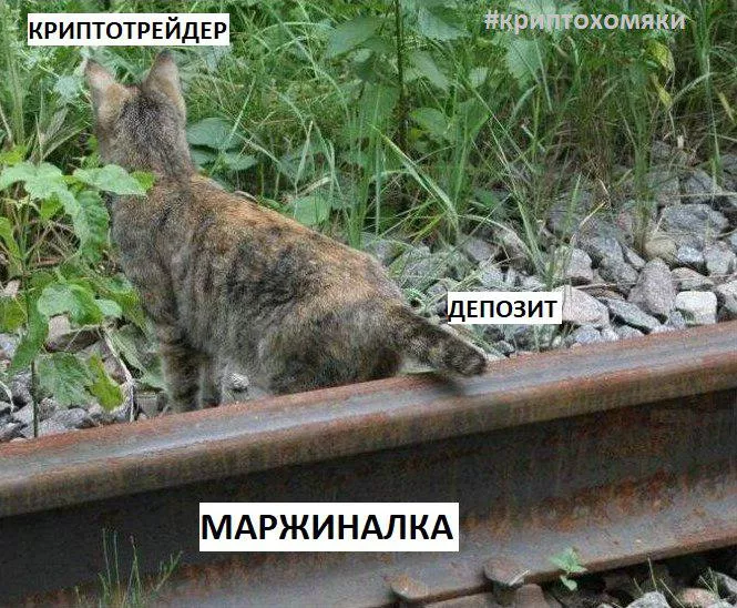 Завод, дамп и смерть: неделя, на которой биток вел себя на троечку