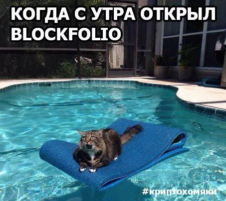 Keep calm и поясни за биткоин: почему мы едем в Kia и кричим «mamma mia»