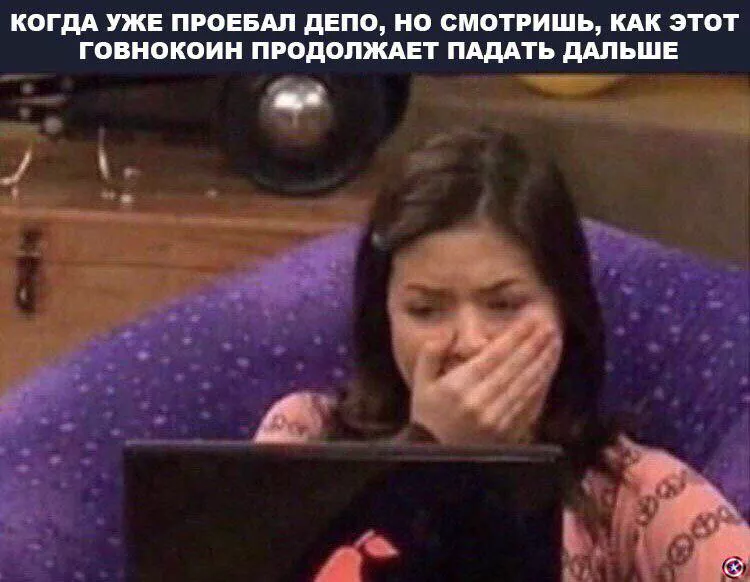 Усредняемся с помощью бытовой техники: слишком правдивые мемы для держателей альткоинов