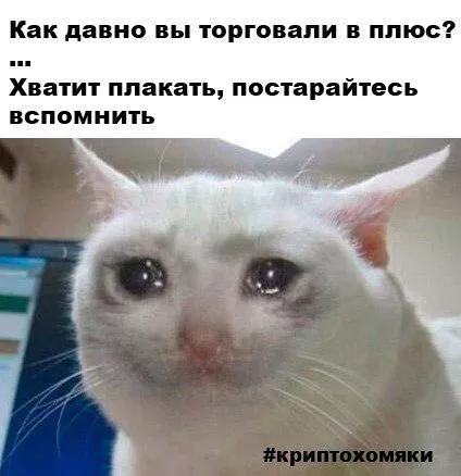 Клуб успешных людей: тут повсюду графики, падающий биткоин и нулевой профит