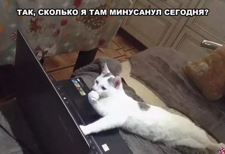 Настоящий детектив: от овертрейдинга до частушкотерапии