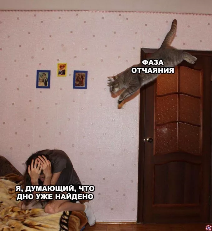 Фаза отчаяния и нервный смех: история биткоин-Джокера