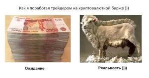 «Сними костюм хомяка, Хеллоуин уже прошел! А, ты просто криптотрейдер» и другие истории