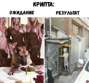 Памп, дамп, ликвидация: азы криптотрейдинга для неудачников