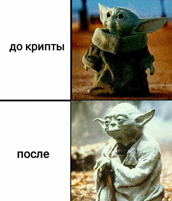 Возьми плечо побольше, это криптомемы недели