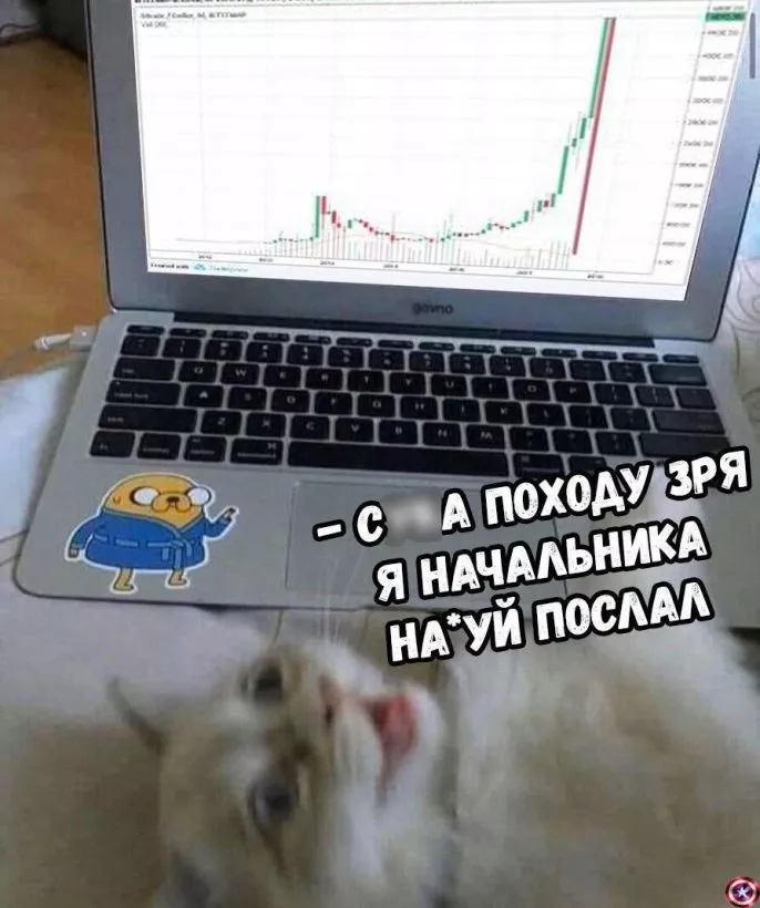 О, ракета — надо брать: внезапный памп битка без возможности закупиться