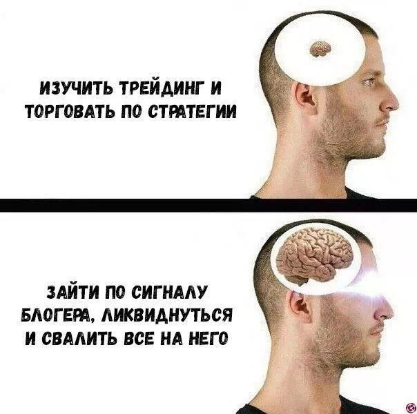 Рыночек порешает, биткоин отрастет: запасаемся мемами на карантин