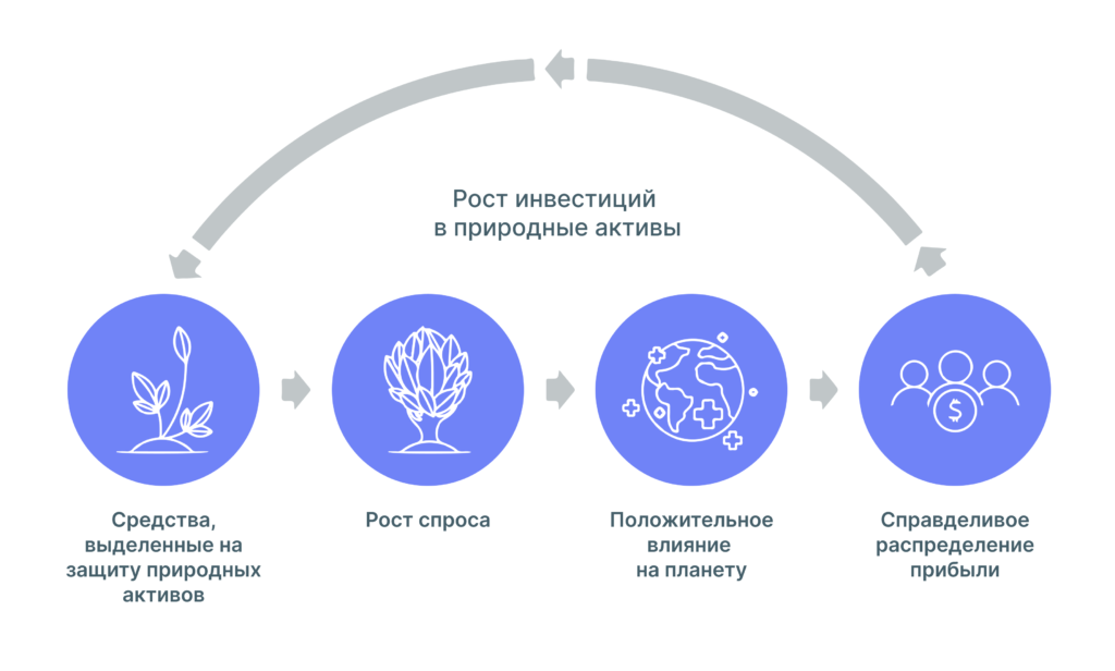 regenerative-economic-systems