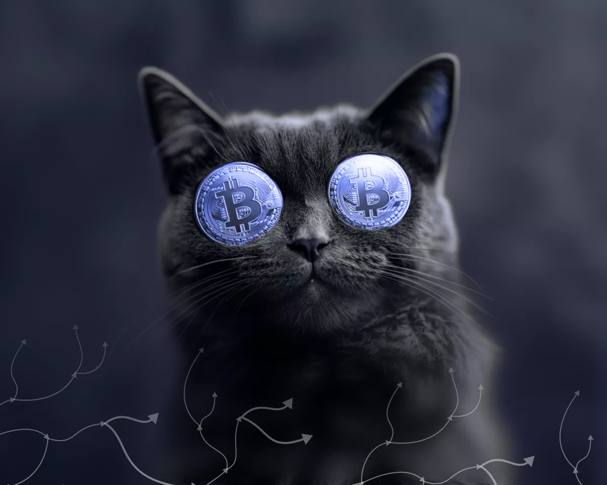 софтфорк биткоина OP_CAT