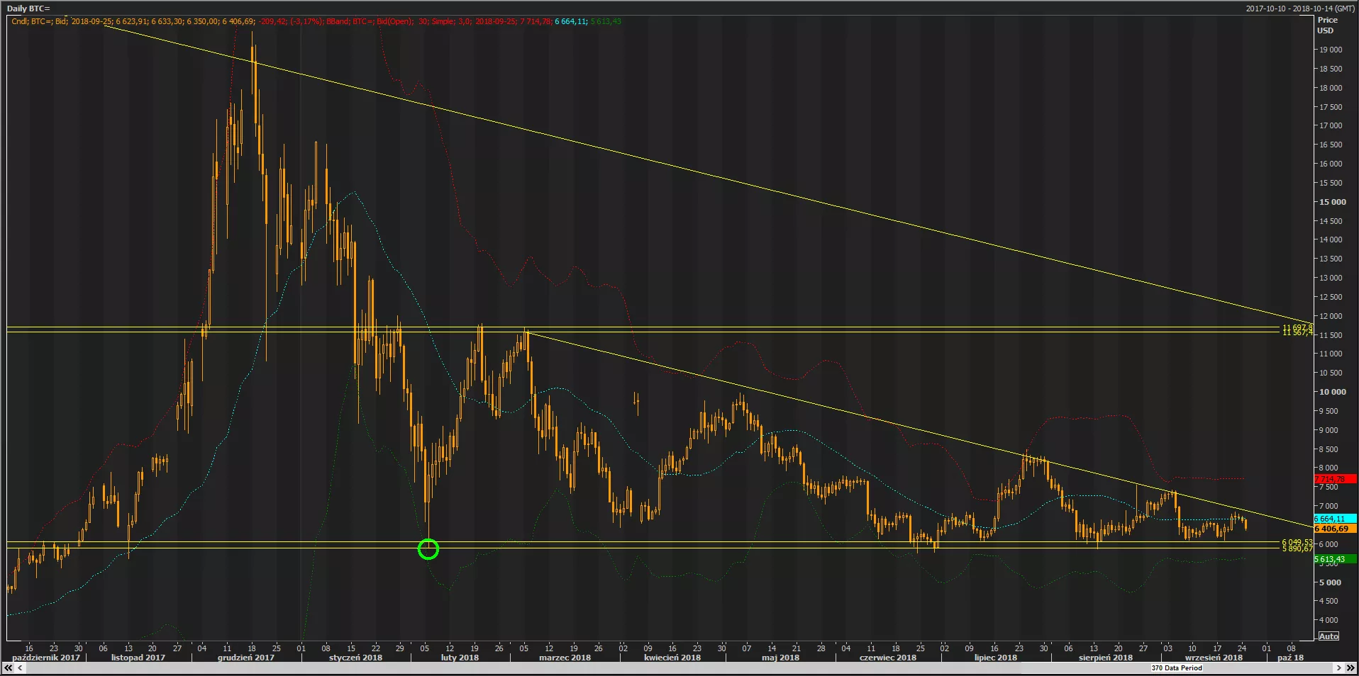Аналитик из Польши предсказал падение цены биткоина до $100